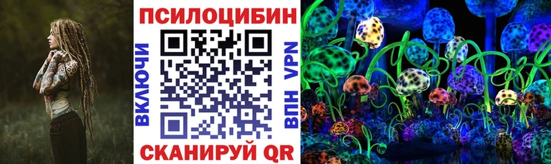 OMG вход  Михайлов  Галлюциногенные грибы Cubensis 